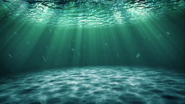 Sample 3003 – Logo Animators