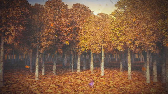 Autumn 009