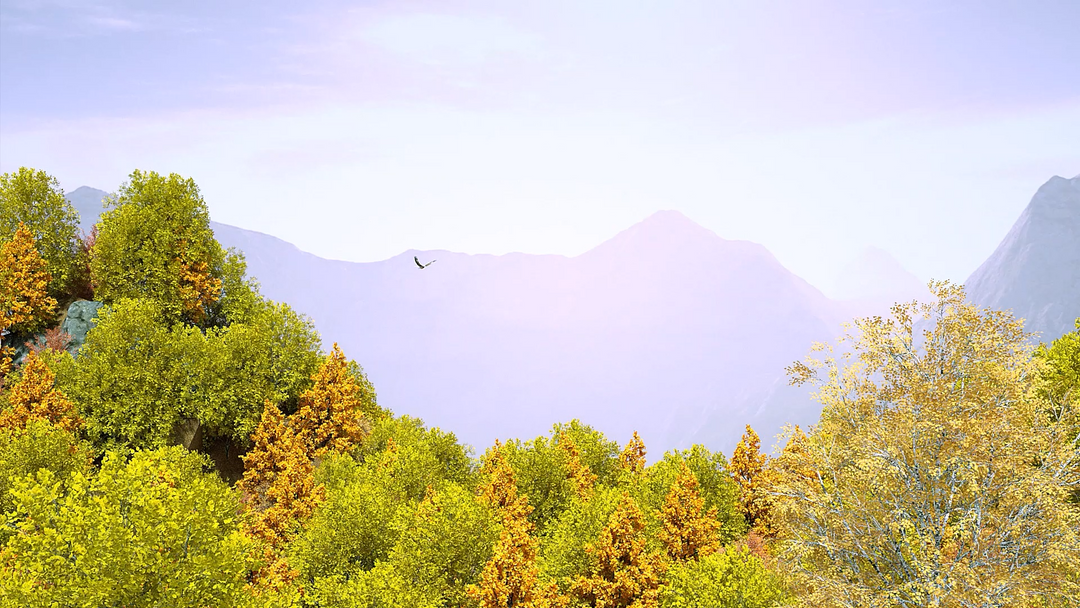 Autumn 001
