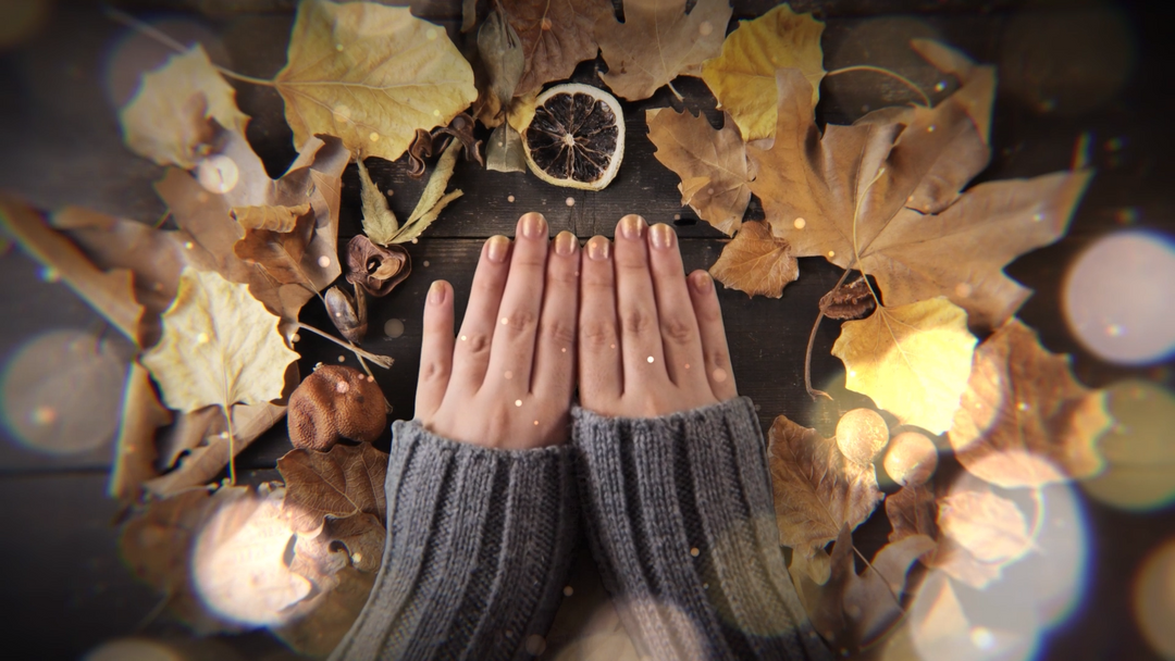Autumn 005