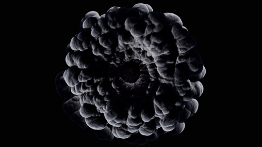 Sample 4066
