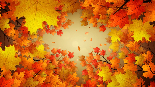Autumn 007