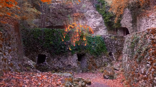 Autumn 003