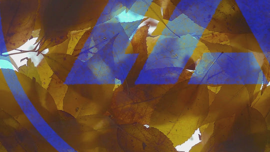 Autumn 012