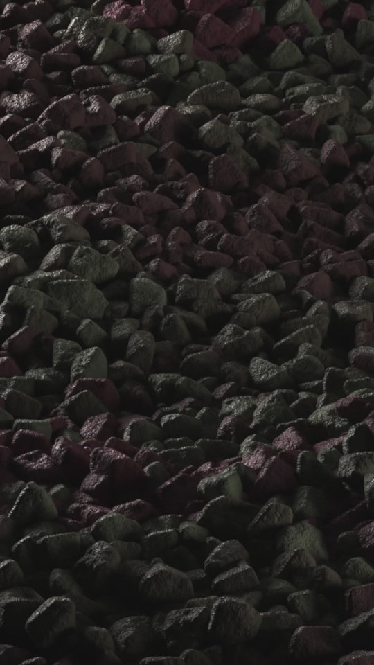 Sample 4055