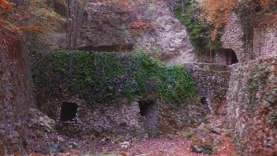 Autumn 003