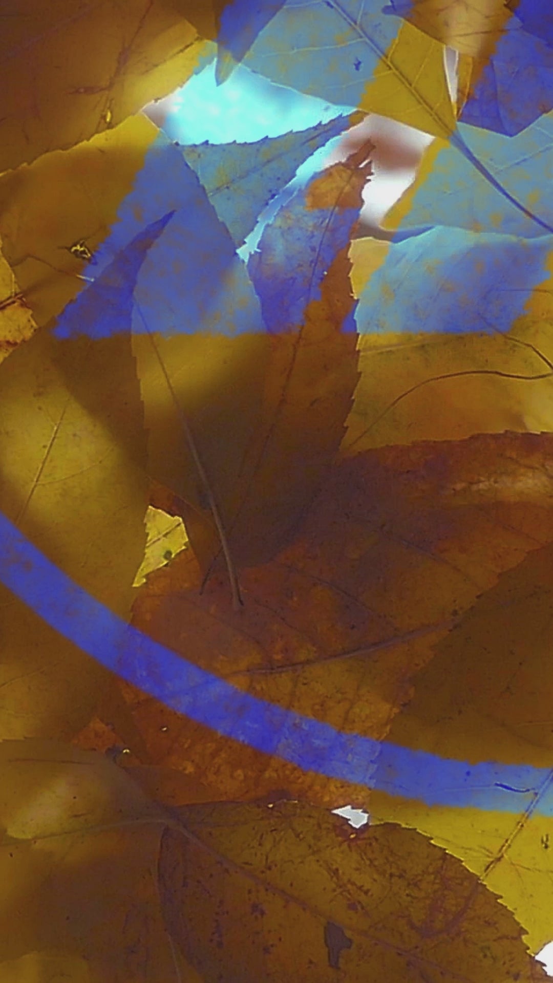 Autumn 012