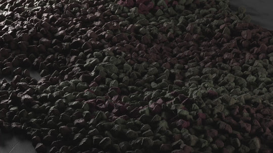 Sample 4055