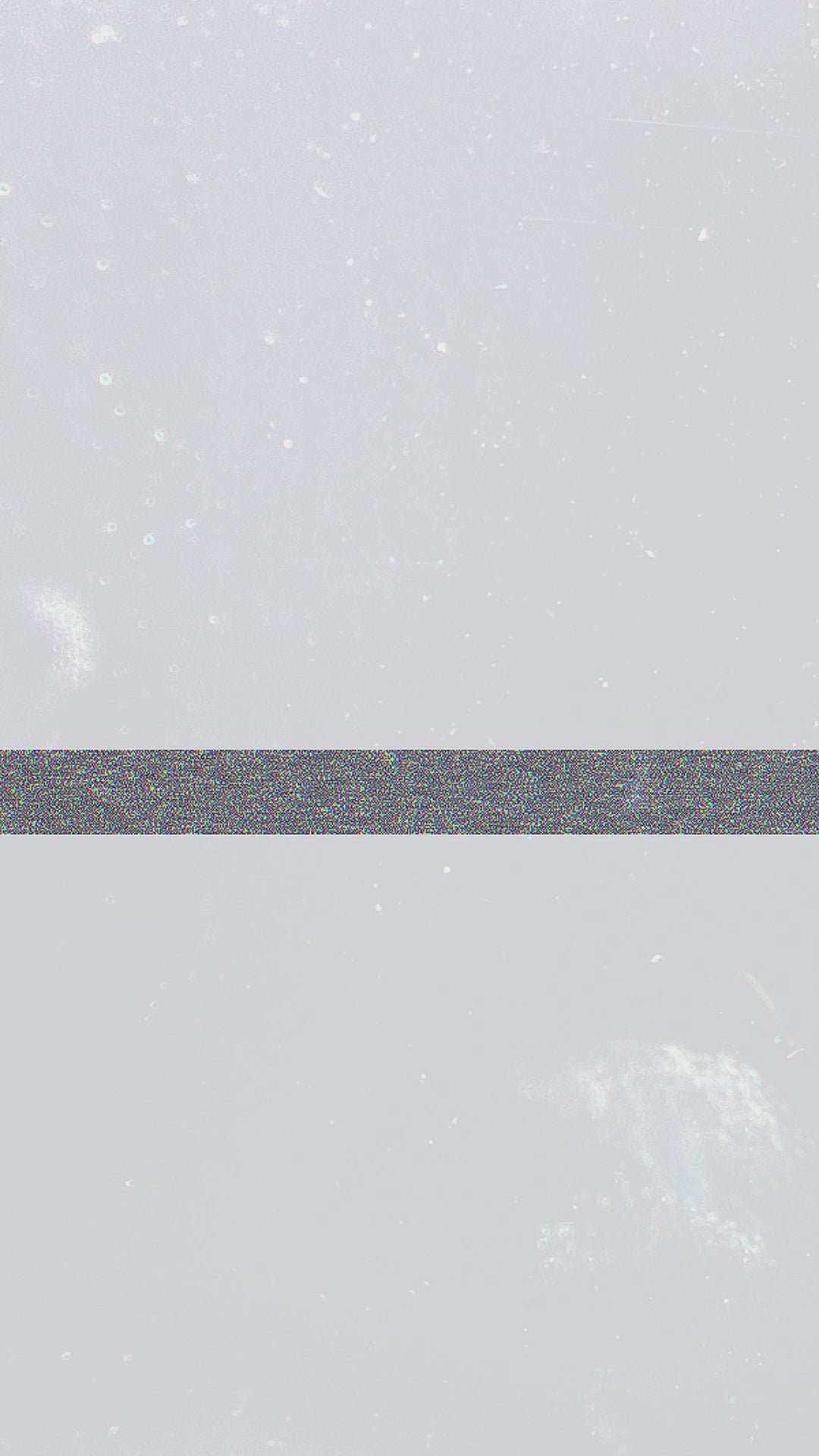Sample 113