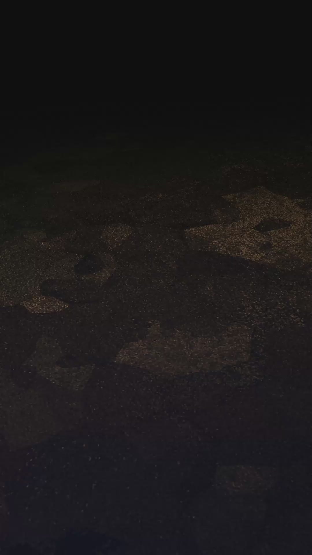 Sample 509 Logo Animators