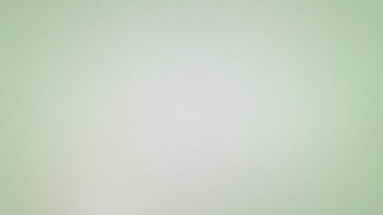Sample 4027