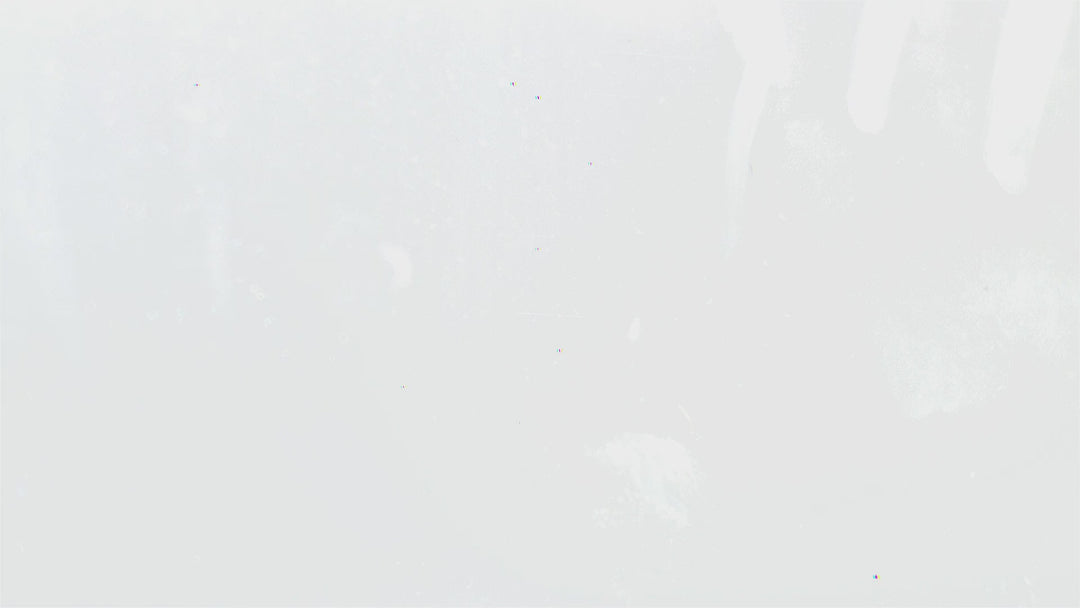 Sample 113