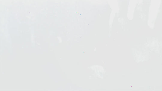 Sample 113